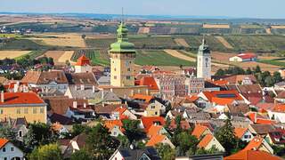 5 gute Gründe für das Weinviertel