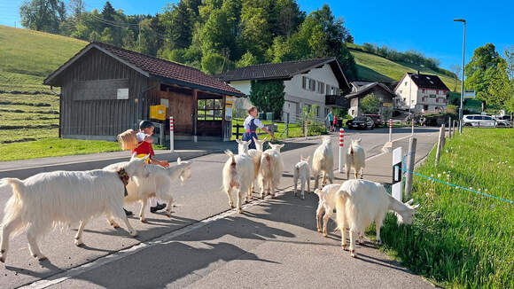 Neues aus der Redaktion