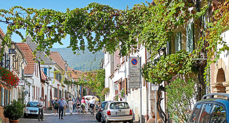 An einem sonnigen Sonntag in der Theresienstraße von Rhodt unter Rietburg.