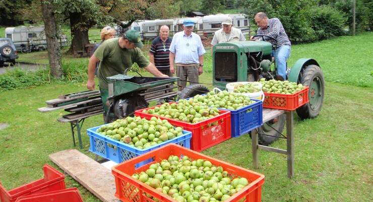 Apfelfest Komfort-Campingpark Burgstaller