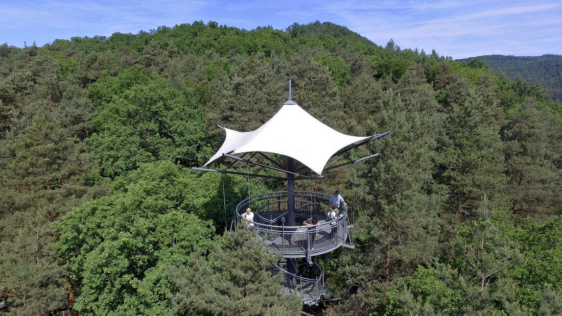 Baumwipfelpfad Biosphärenrservat Pfälzerwald