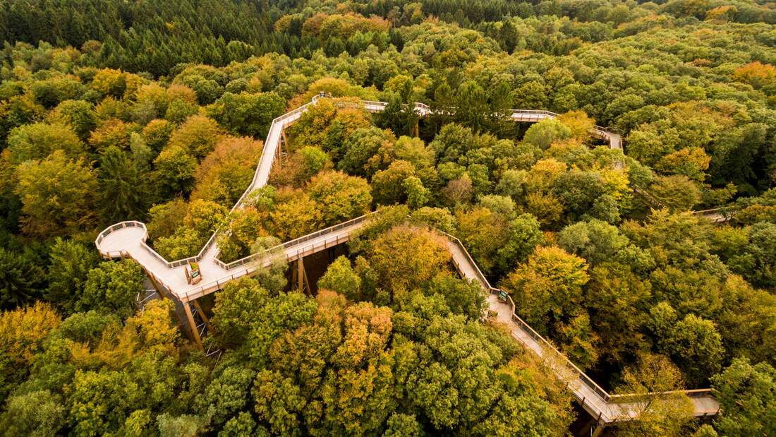 Baumwipfelpfad Panarbora