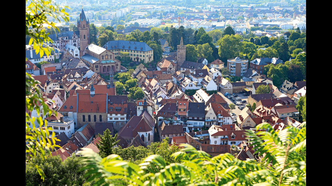 Blick von der Burgruine auf Weinheim