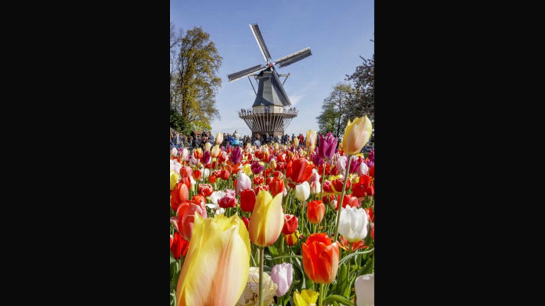 Blumenpark Keukenhof Niederlande