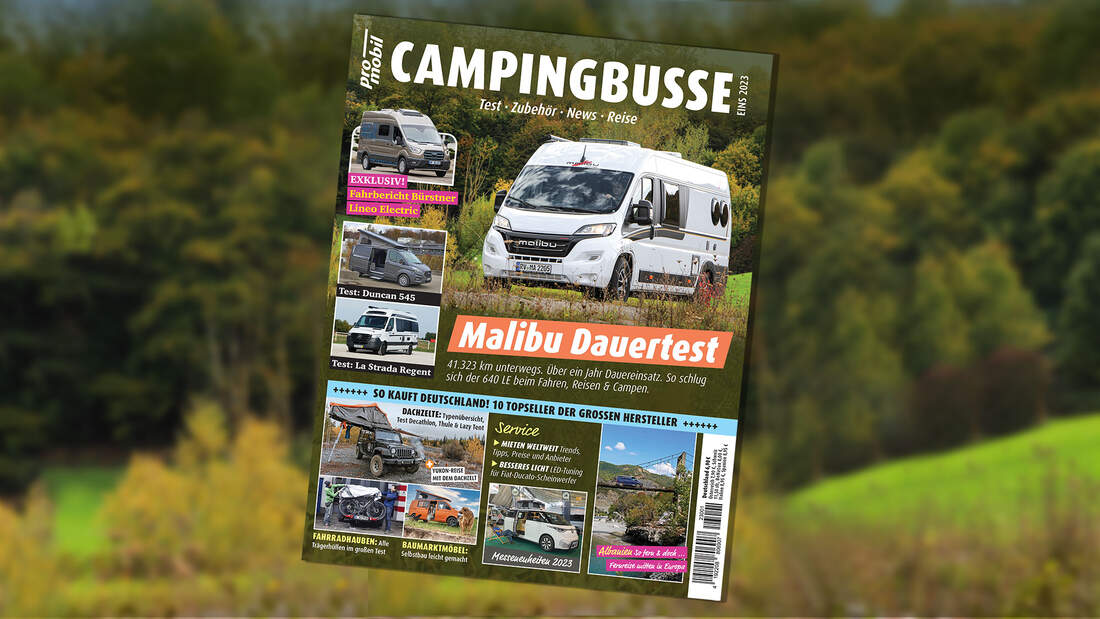 CAMPINGBUSSE 01/2023