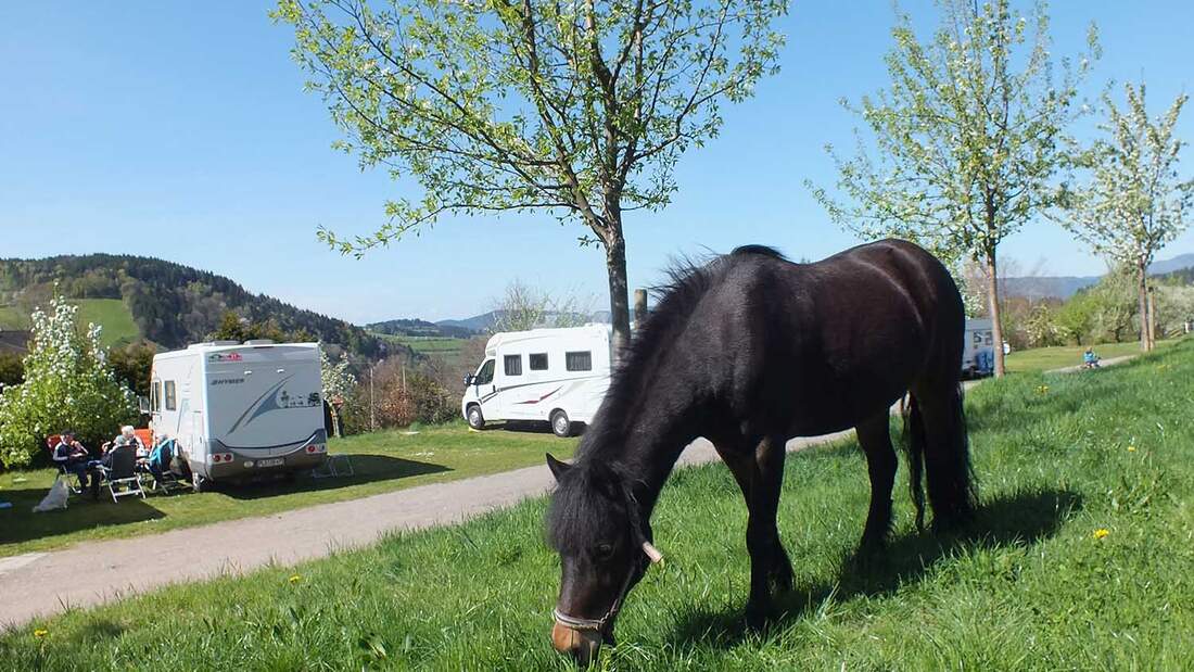 Camping Kirnermarteshof