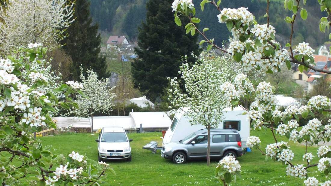 Camping Kirnermarteshof