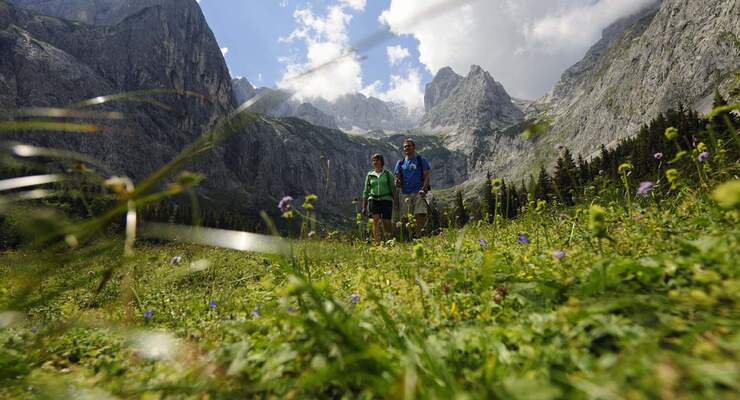 Camping Resort Zugspitze, Wandern, wiesen