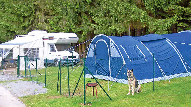 Camping Bayerischer Wald Mit Hund Tunturia