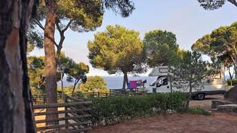 Campingplatz, Meer, Wohnmobil, Bäume, Costa Brava