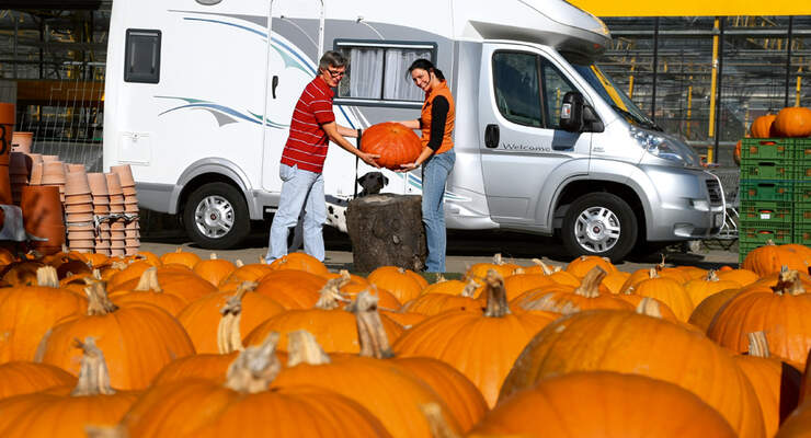 Chausson Welcome Sweet