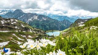 Der Seealpsee