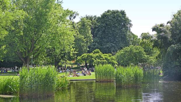 Der Stadtgarten ist eine Oase für Freiburgs Bürger und Gäste – auf der rund 2,6 Hektar großen Fläche gibt es zudem Konzerte und Theateraufführungen.