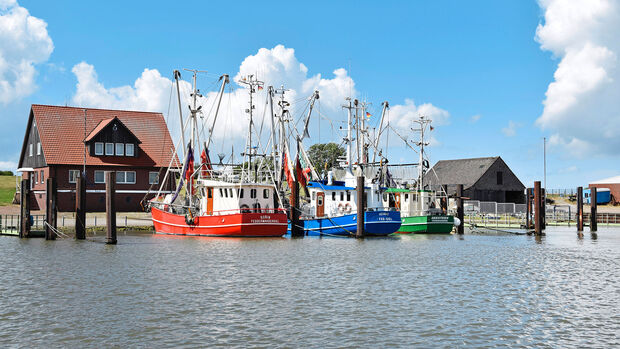 Fedderwardersiel, Ausflugsziel, Hafen, bunte Boote