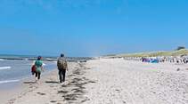Fischland