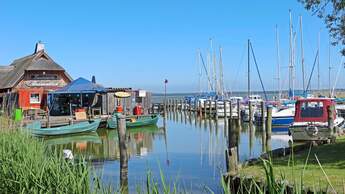 Fischland