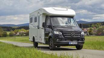 Frankia M-Line Neo MT 7 BD (2021)