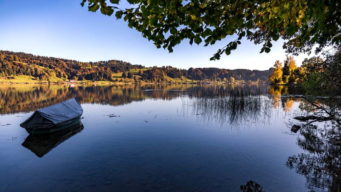 Großer Alpsee