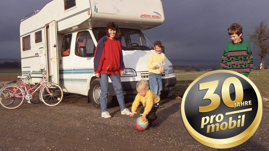 Hehn aus dem Jahre 1994