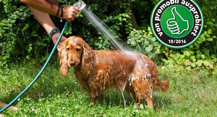 Hudedusche ausprobiert
