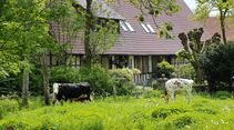 Im weiten Land zwischen Ibbenbüren und Münster gibt es große Höfe mit ausgedehnten Wiesen und Weiden.