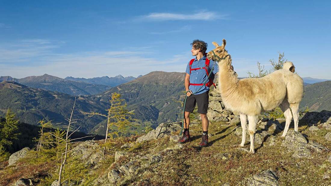 Katschberg mit Lama