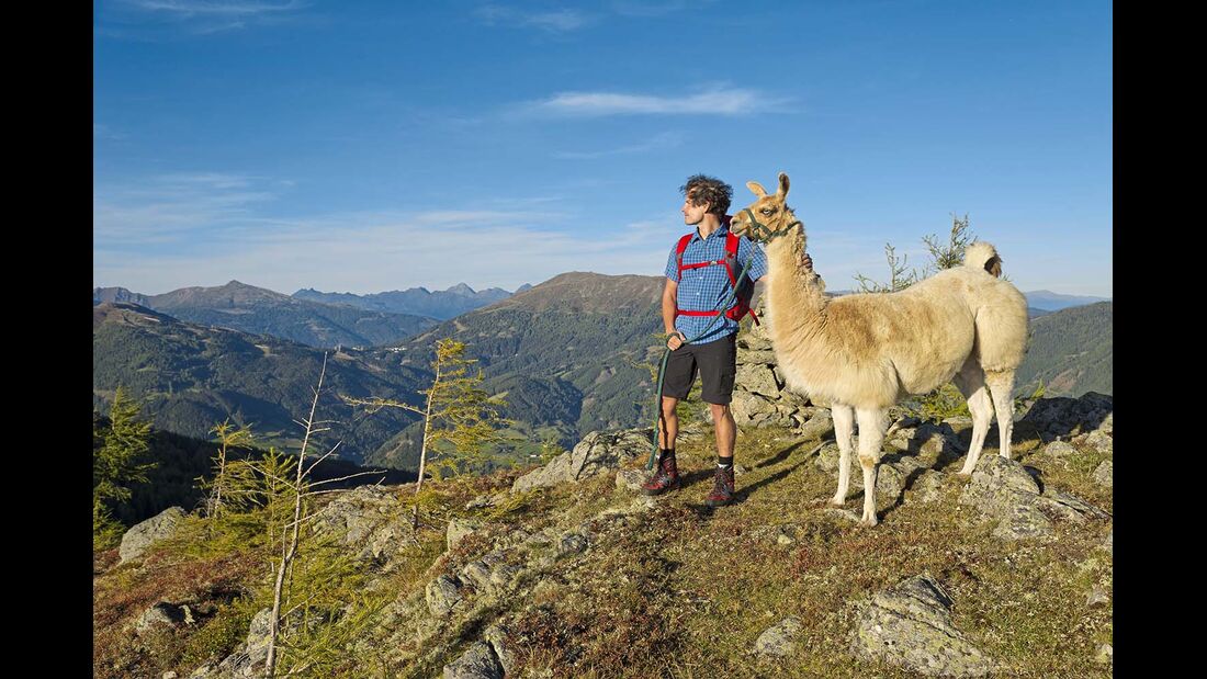 Katschberg mit Lama