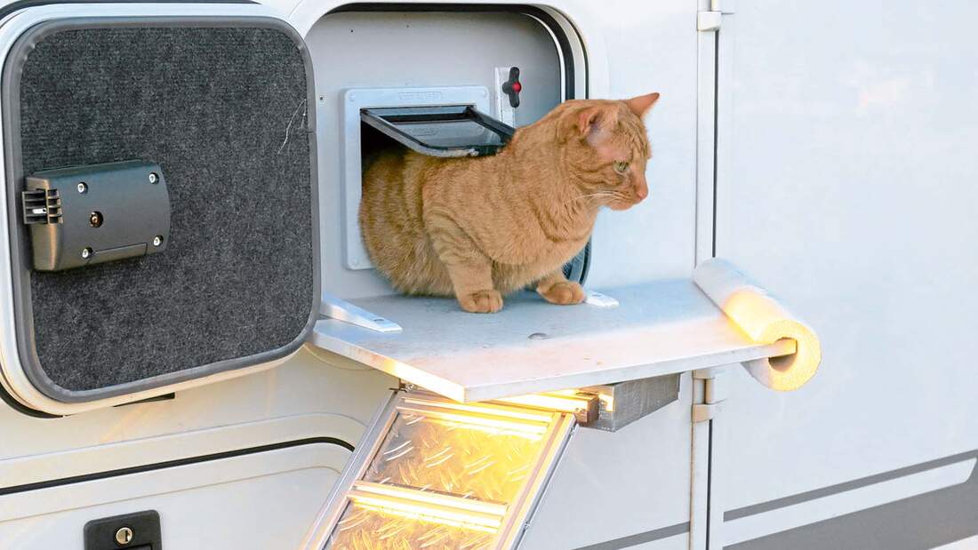 Katzenklappe samt Aufstieg.