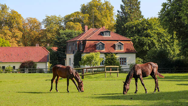 Kieler Bucht und Ostholstein