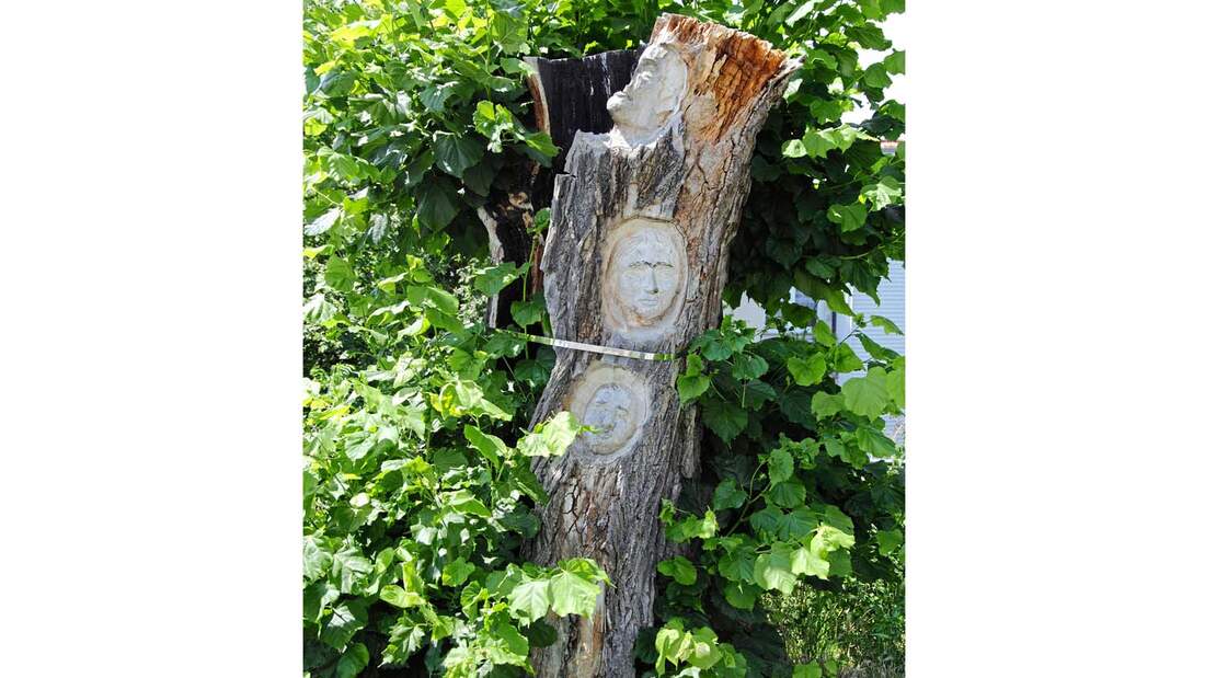 Kunst am Baum in Mühlhausen.