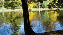 Le Parc de la Fecht