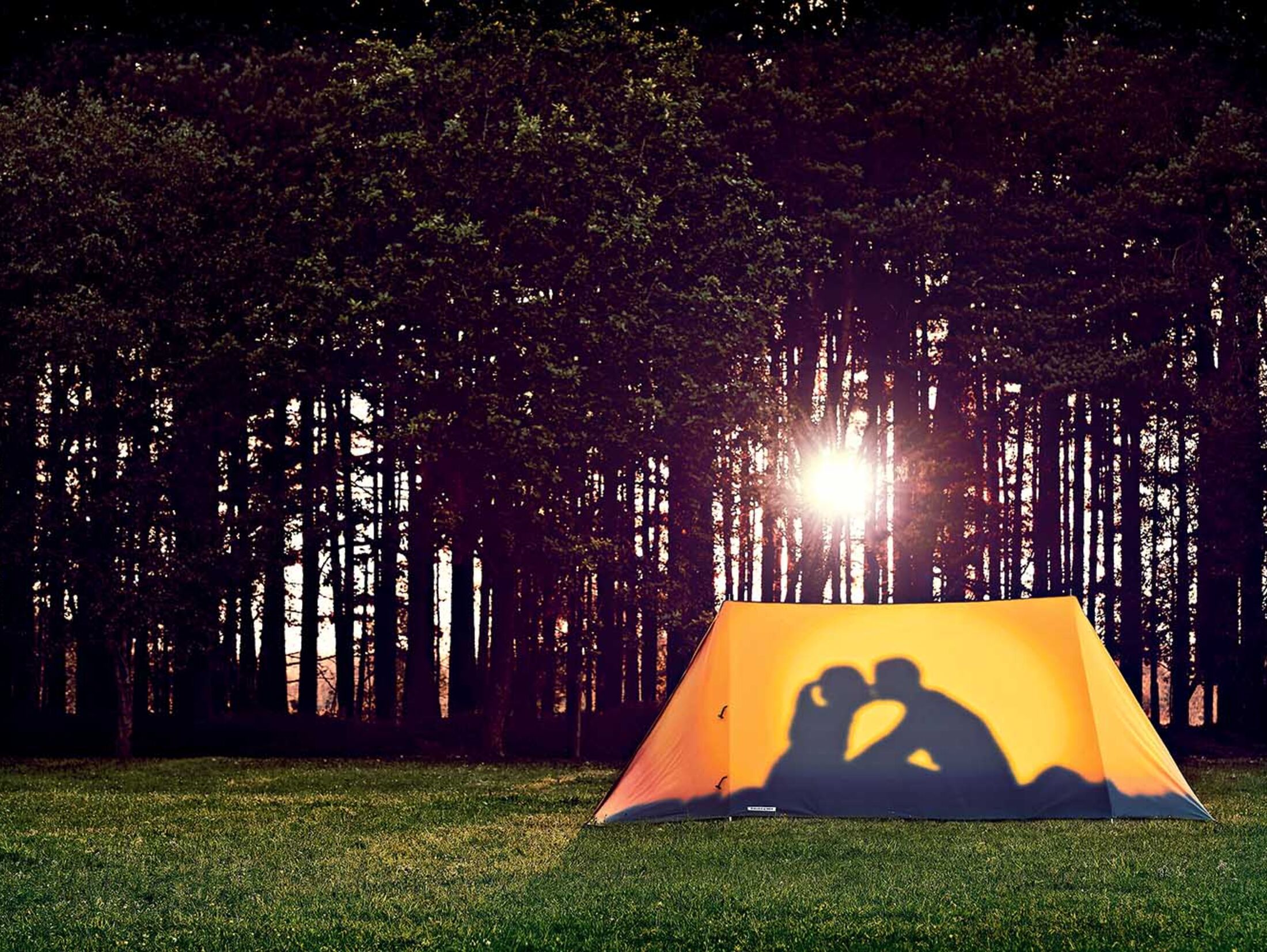 Effektive Auto-Sichtschutz-Lösungen beim Camping - Camping-Lust