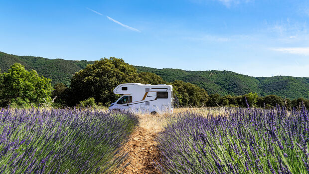 Mobil-Tour Côte d’Azur - Lavendel
