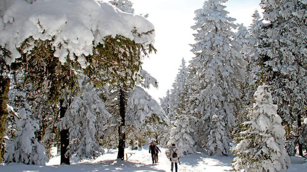 Mobil-Tour: Harz