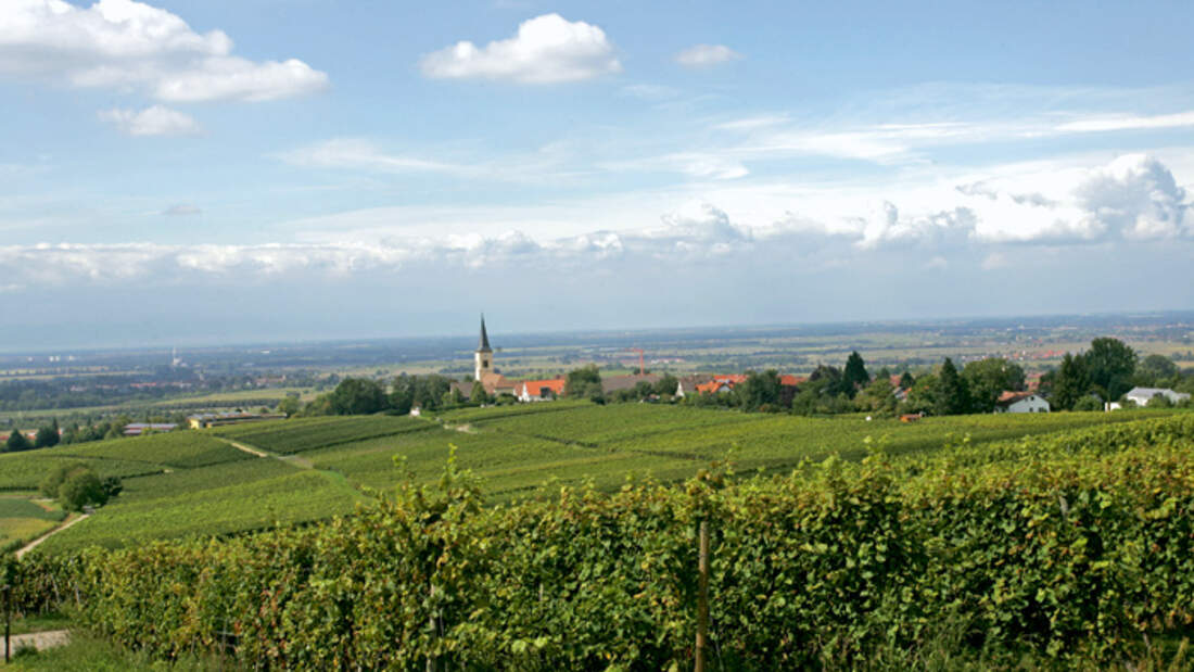 Mobil-Tour: Markgräfler Land