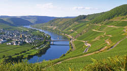 Mobil-Tour: Mosel