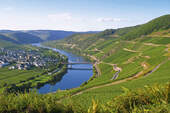Mobil-Tour: Mosel