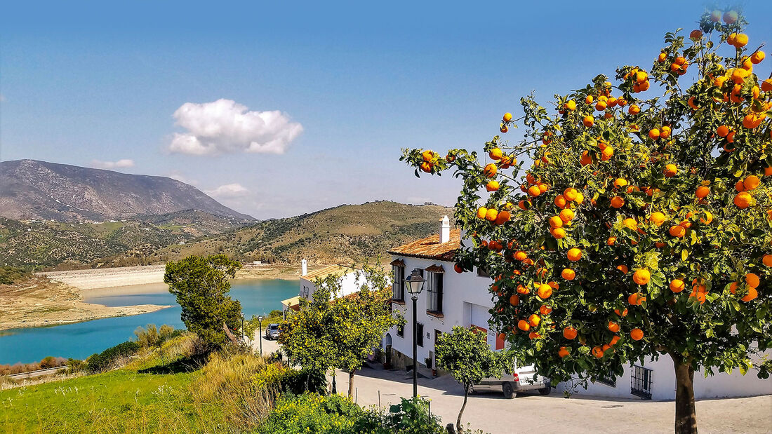 Mobil-Tour Spanien und Portugal - Orangen