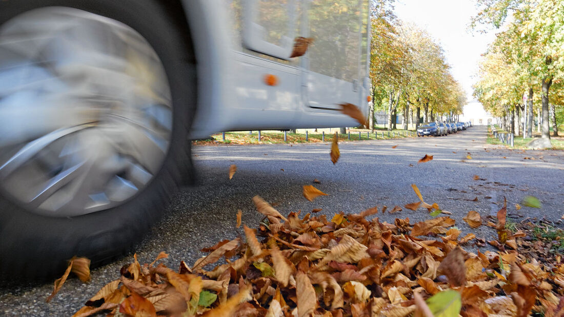 Nasse Blätter auf der Straße.