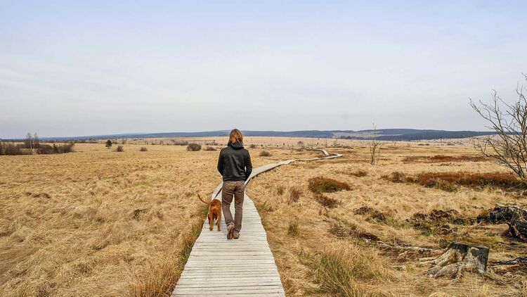 Reise Tipp Eifel Im Winter Durch Den Nationalpark Promobil