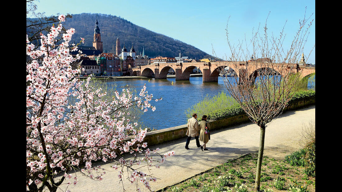 Neckarpromenade in Heidelberg.