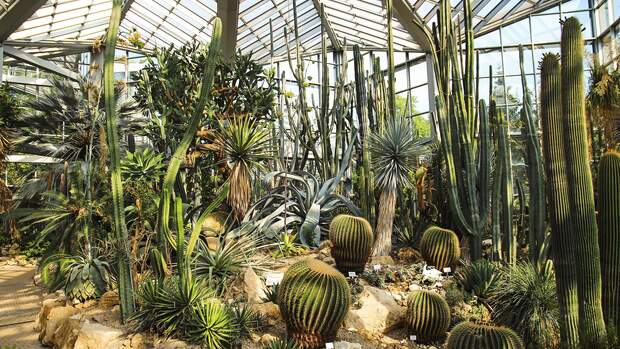 Palmengarten Frankfurt