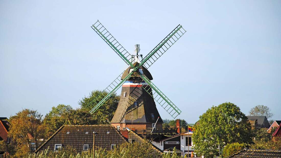 Promobil Reisen Schleswig-Holstein Watt