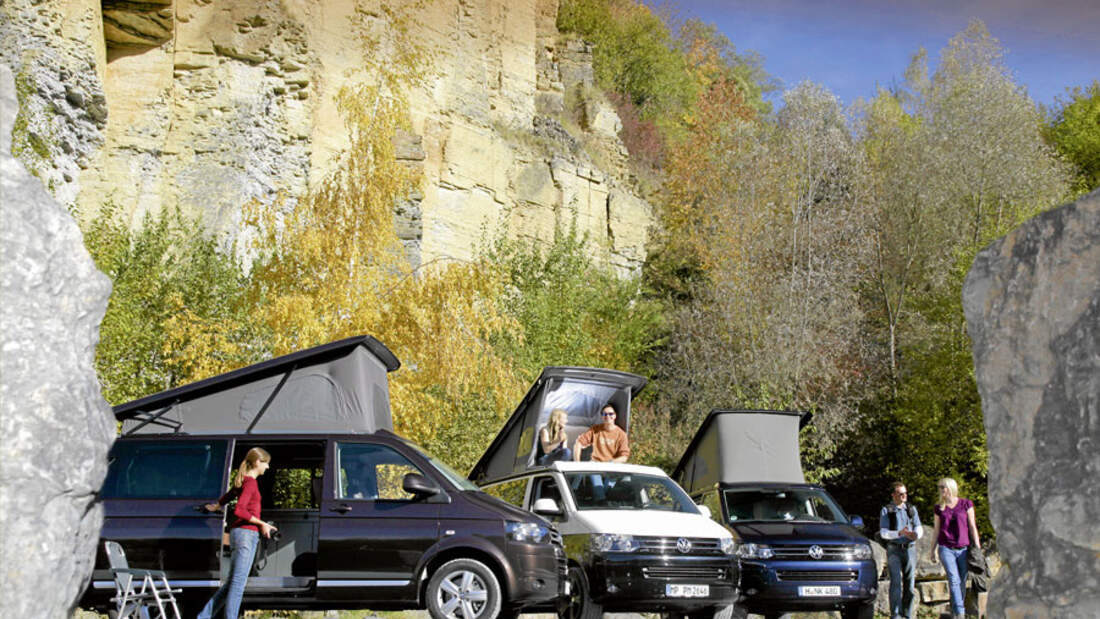 Reimo City Van/Spacecamper Light/VW California Beach, Vergleichstest