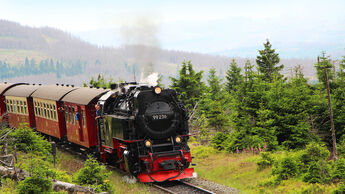 Reise Harz Stellplatz f