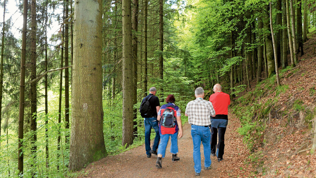 Reise-Tipp: Bayerischer Wald