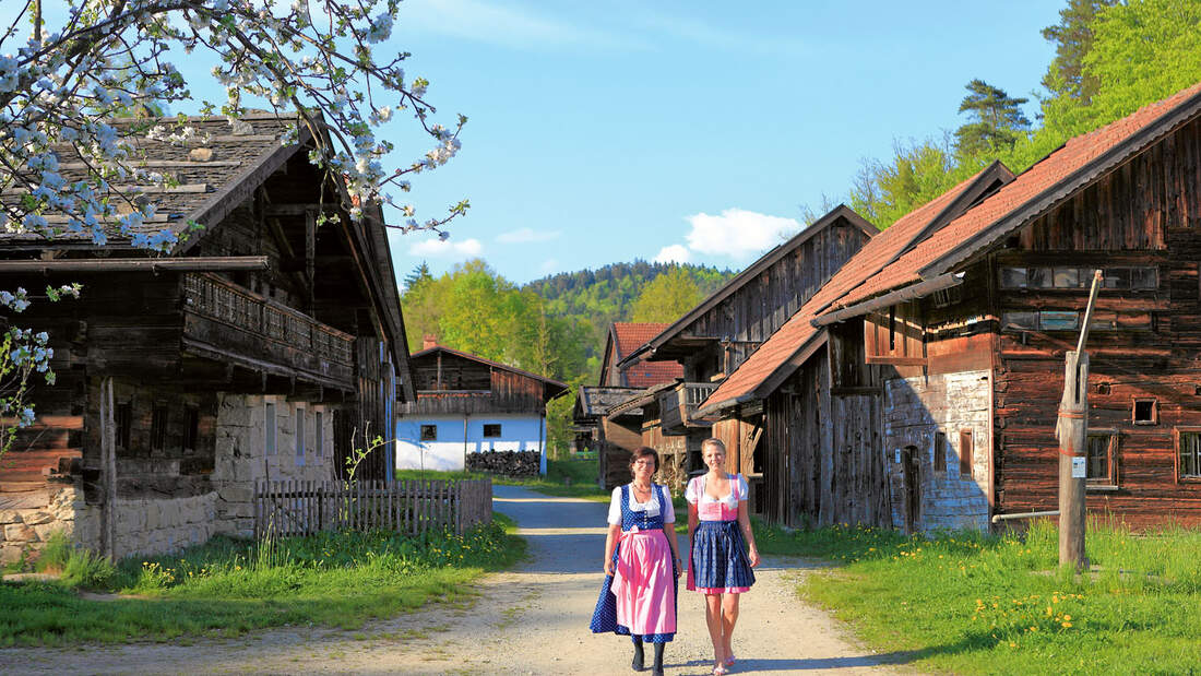 Reise-Tipp: Bayerischer Wald