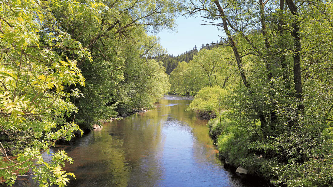 Reise-Tipp: Bayerischer Wald