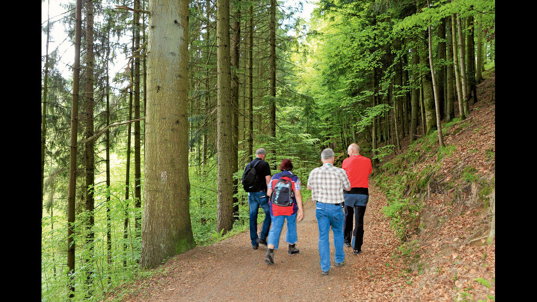 Reise-Tipp: Bayerischer Wald