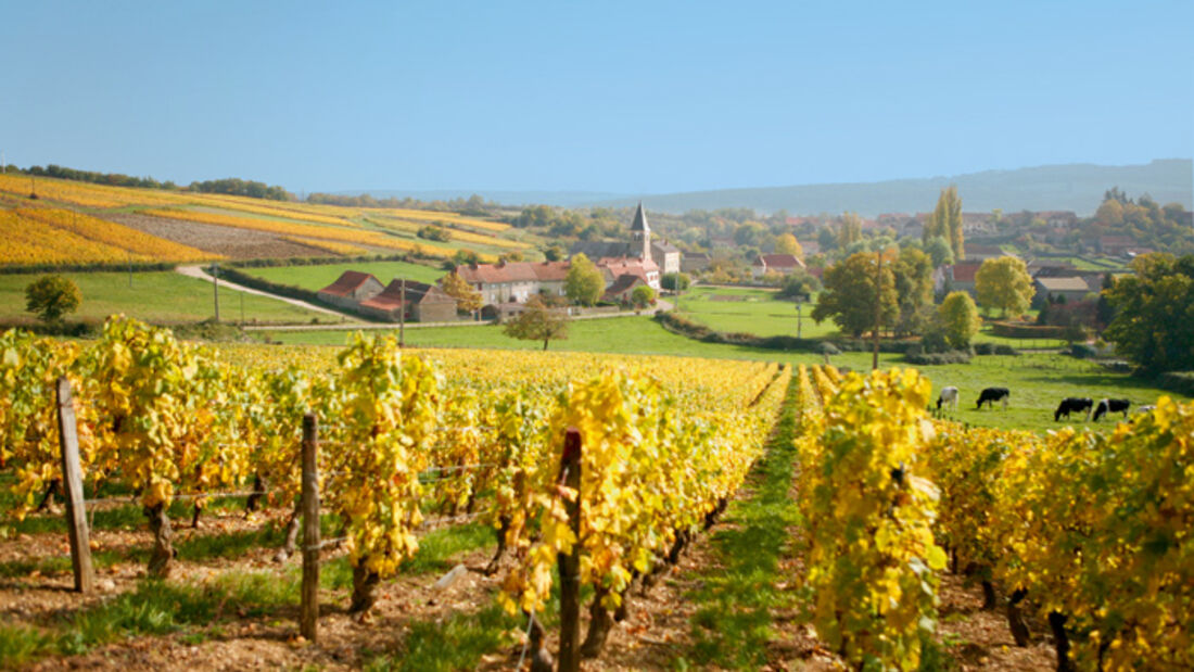 Reise-Tipp: Burgund